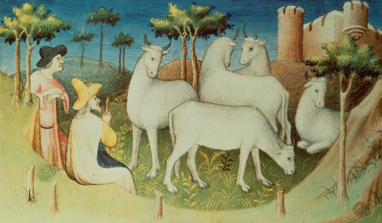 Ms Fr 2810 f.13v, Marco Polo auf seinen Reisen, aus dem 