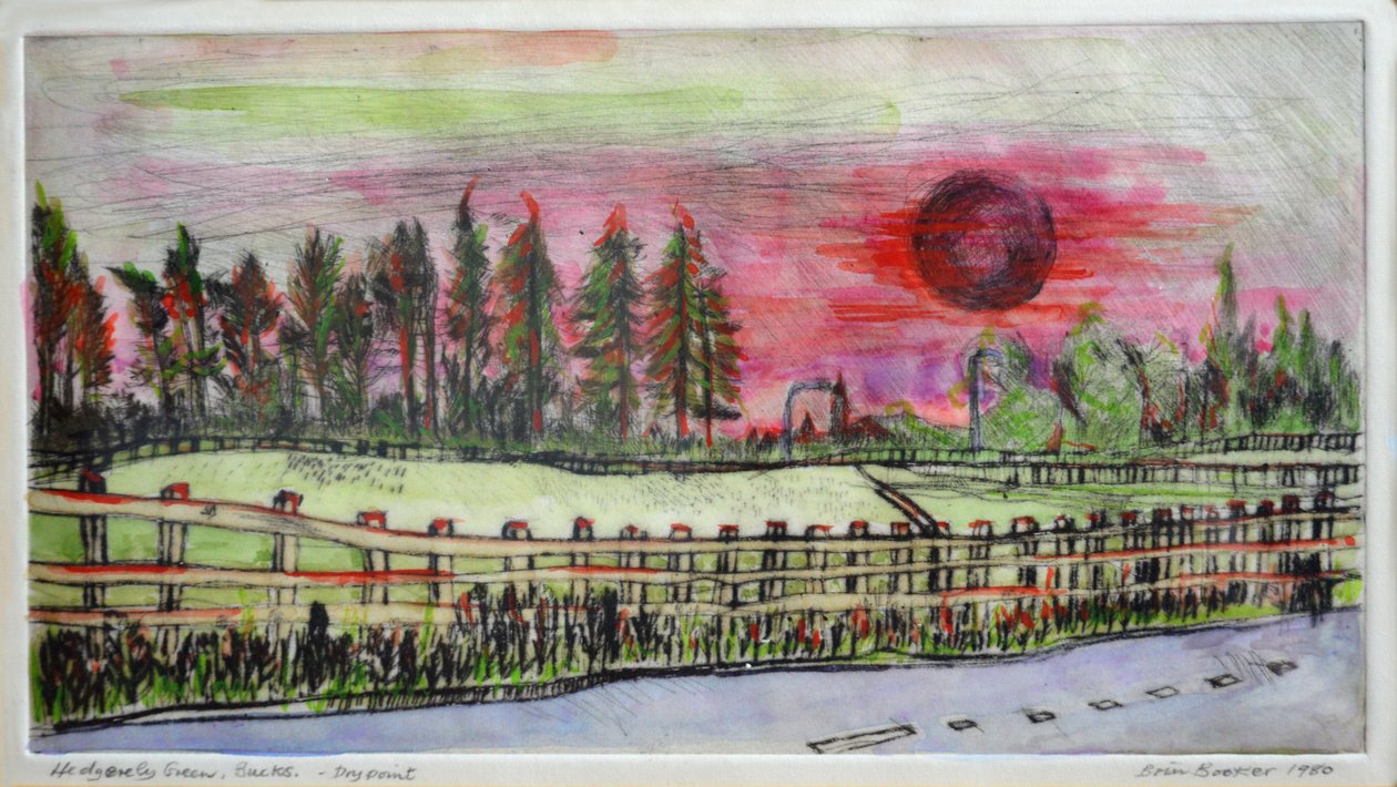 Sonnenuntergang, Hedgerley Green von Brenda Brin Booker