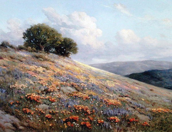 Sommerblüte von Bruce Crane