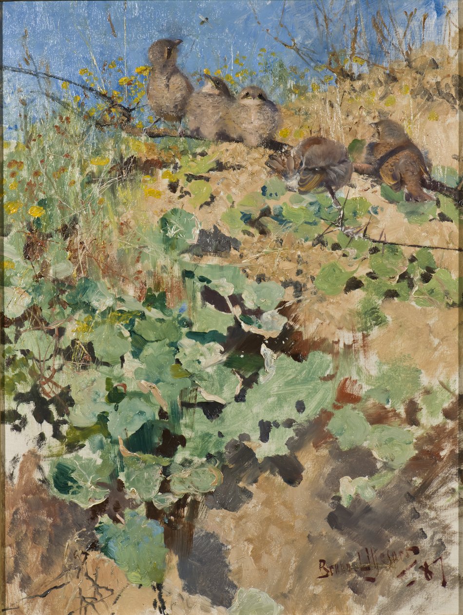 Nestlinge des Rotrückenschwirlings, 1887 von Bruno Andreas Liljefors