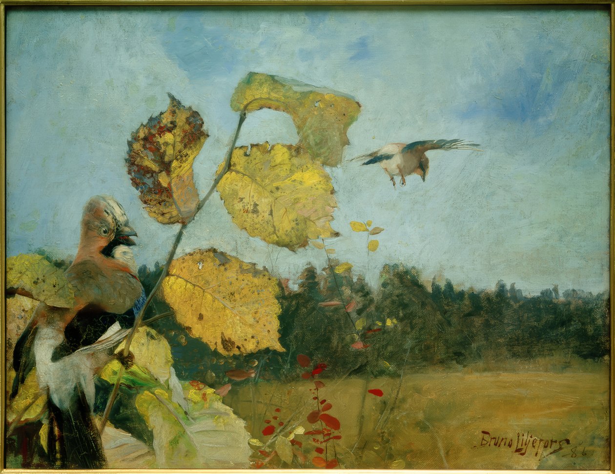 Tölpel von Bruno Andreas Liljefors