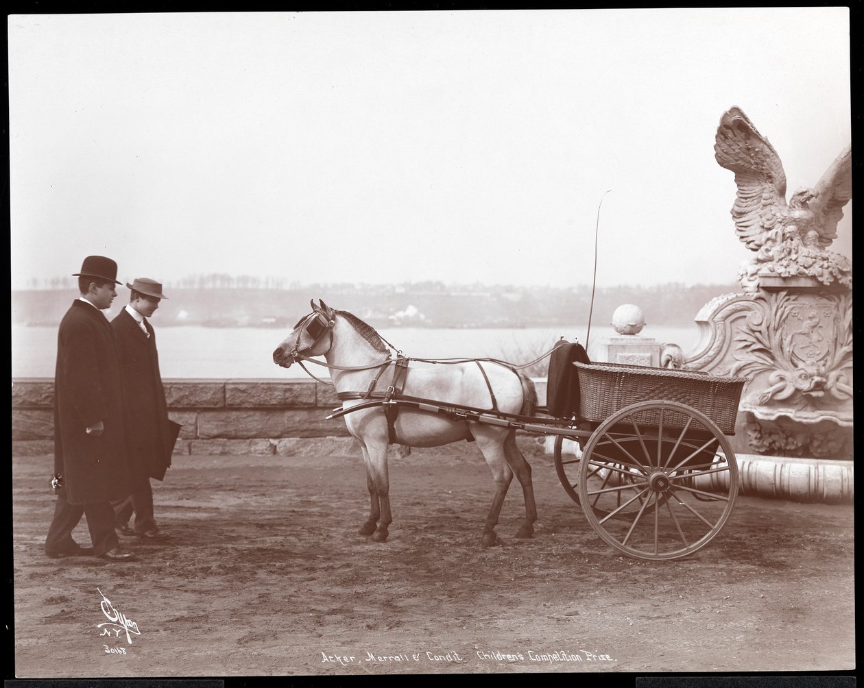 Zwei Männer, Pony und Wagen, New York, 1910 oder 1911 (Silbergelatineabzug) von Byron Company