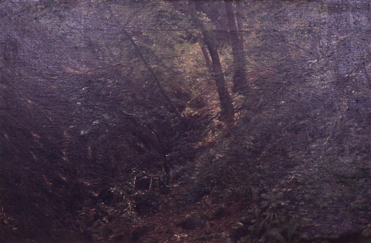 Frühling in einer Schlucht von C.A. Kølle