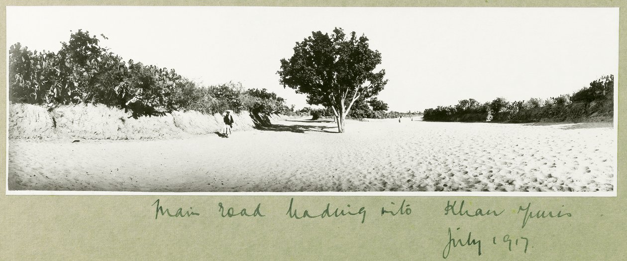 Die Hauptstraße nach Khan Yunis von Capt. Arthur Rhodes