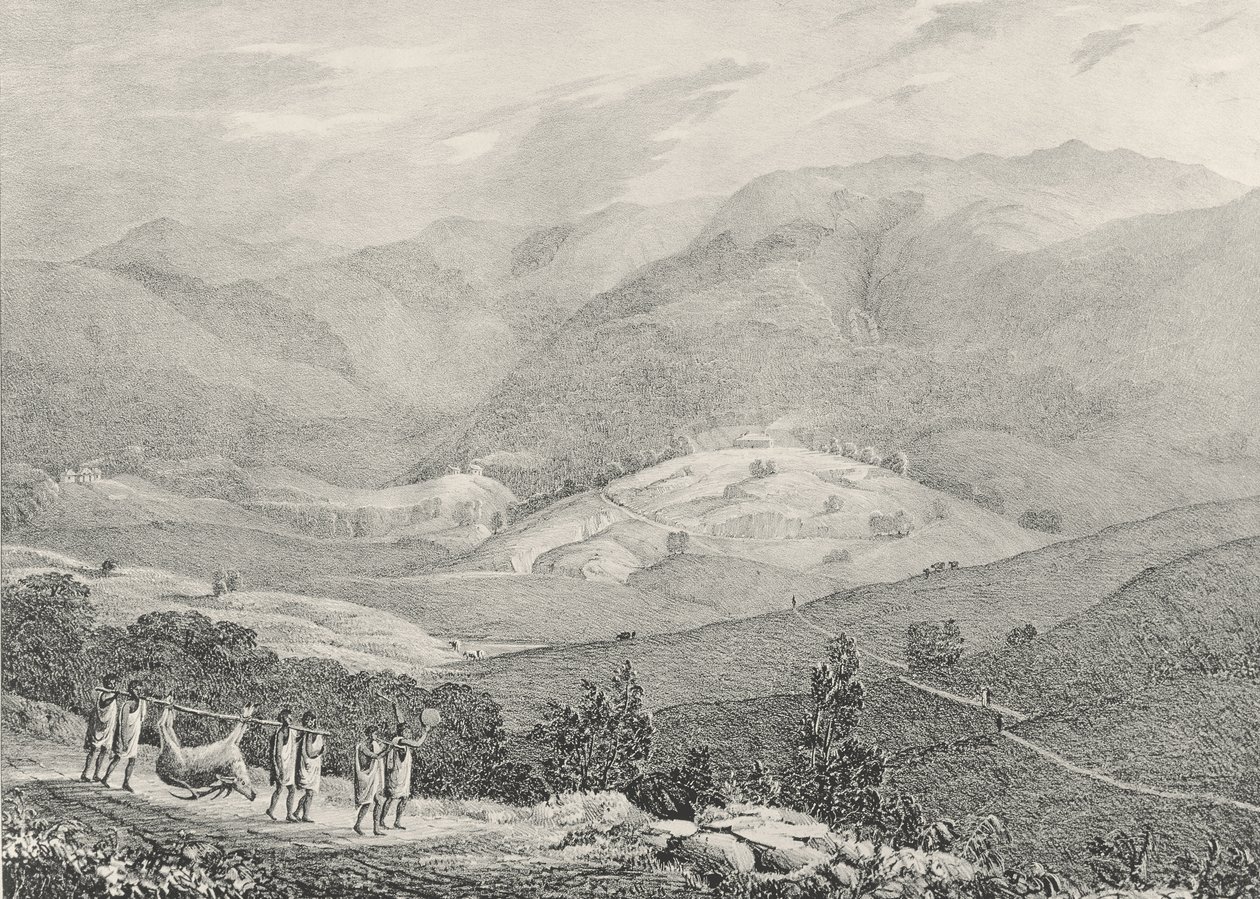 Ottacamund, Blick auf den Großen Dodabetta, Neelgherry Mountains, Tafel 4 aus 