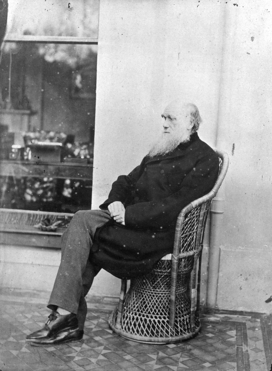 Charles Darwin von Captain L. Darwin