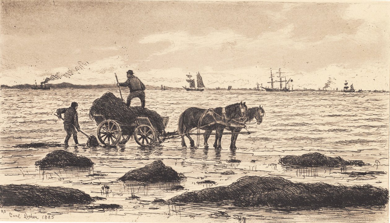 Bauern fahren Tang von Carl Locher