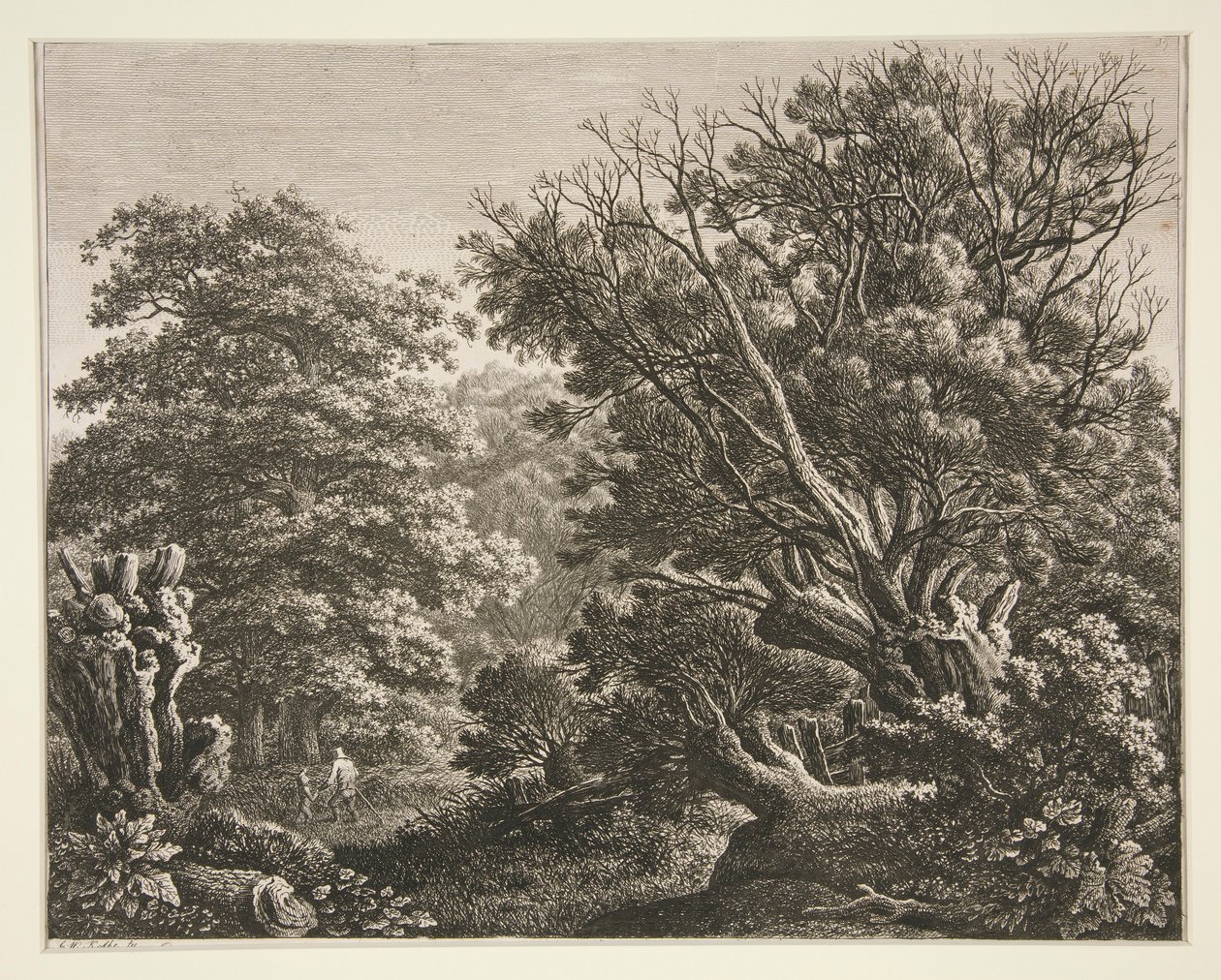 Landschaft mit knorrigem Baum von Carl Wilhelm Kolbe the elder