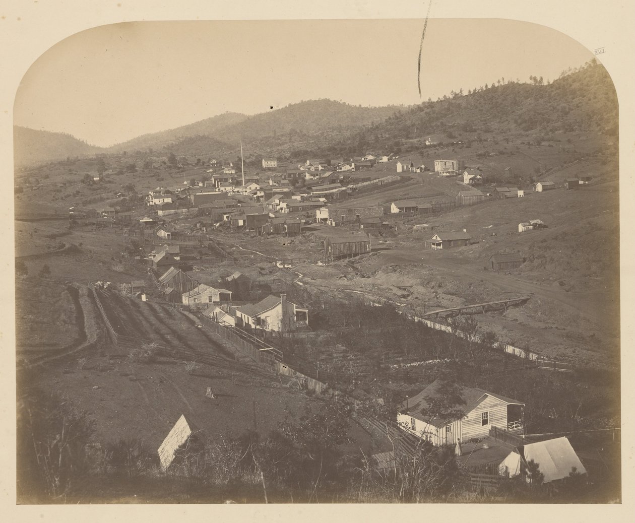 (Mariposa) von Carleton E. Watkins