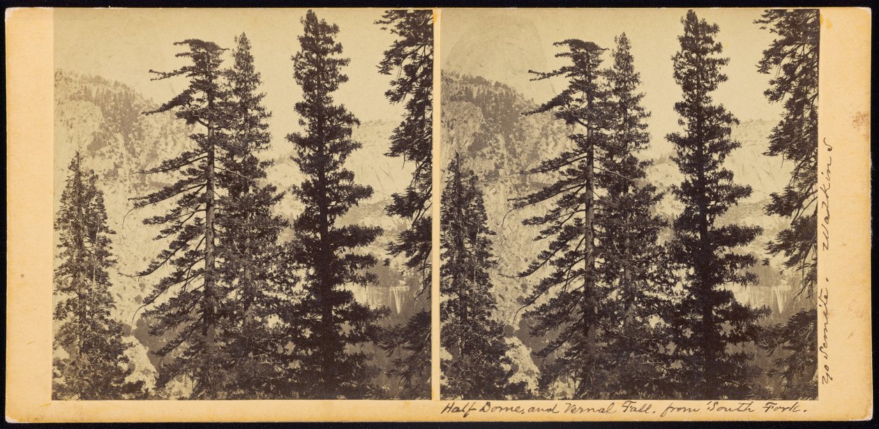 Half Dome und Vernal Fall, vom South Fork von Carleton E. Watkins