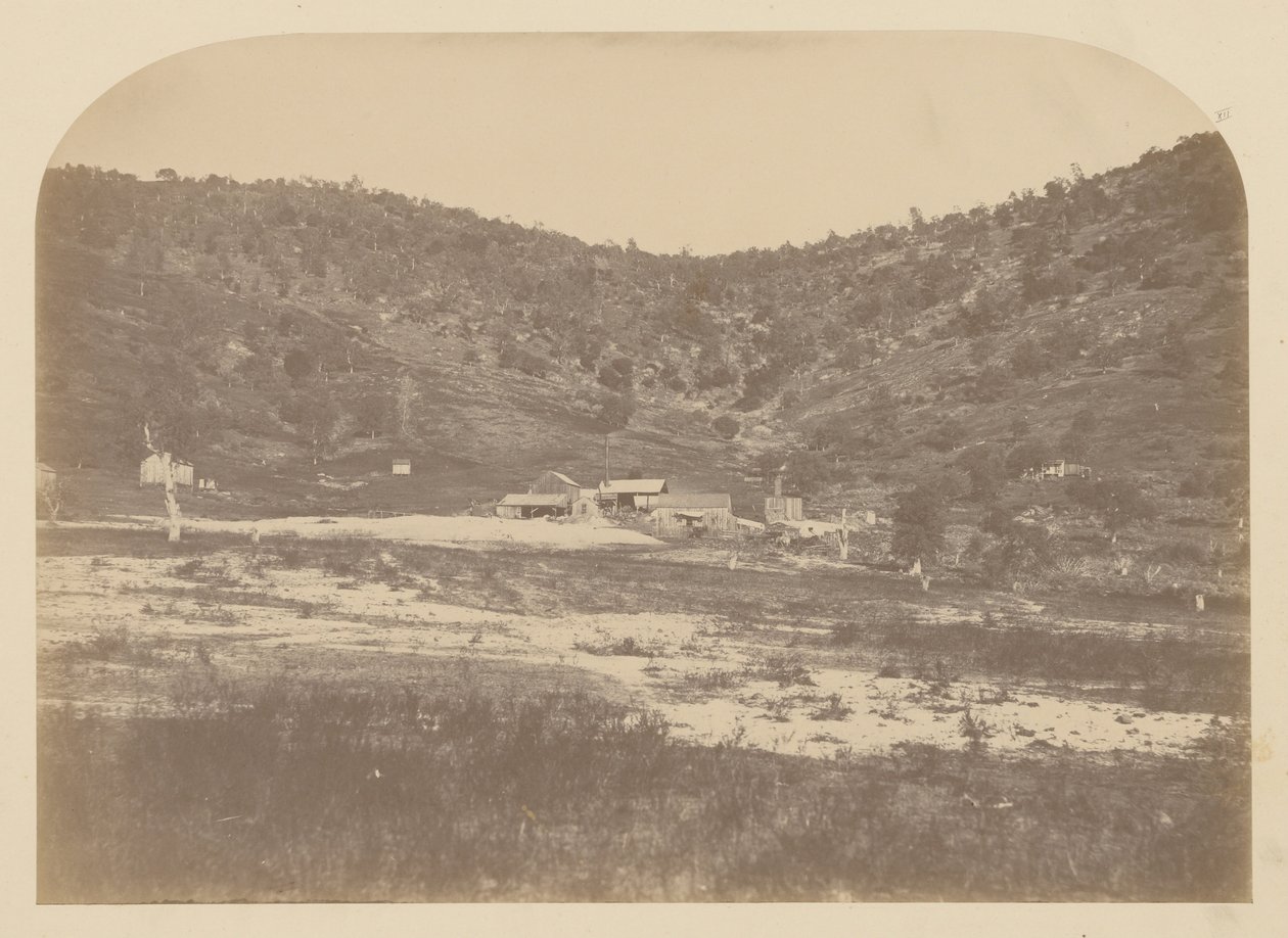 Bear Valley Mühle von Carleton Watkins