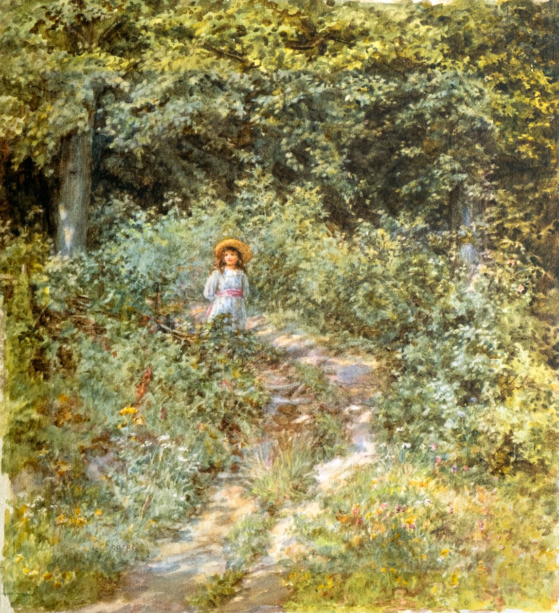 Der Weg durch den Wald von Caroline Paterson