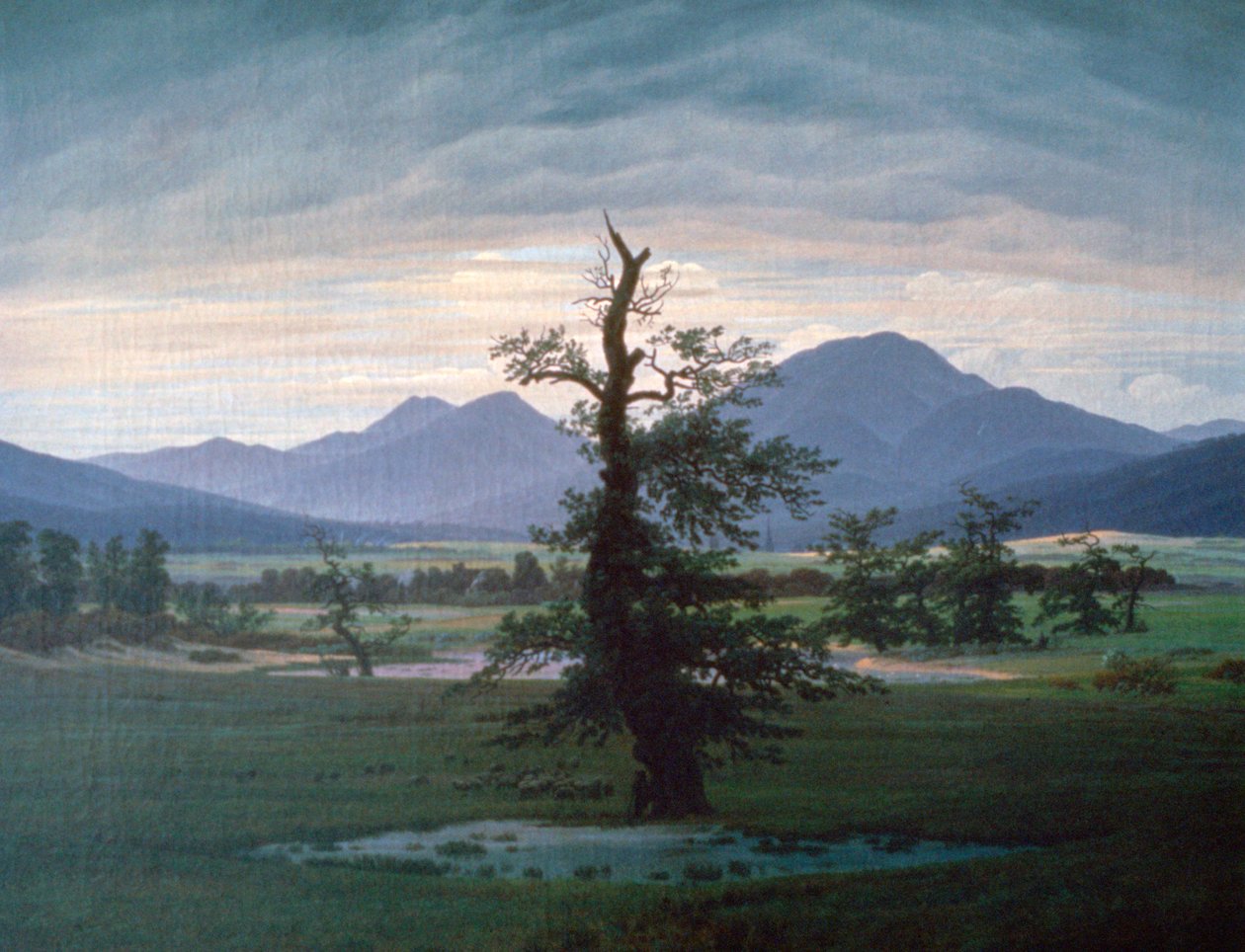 Der einsame Baum, 1823 von Caspar David Friedrich