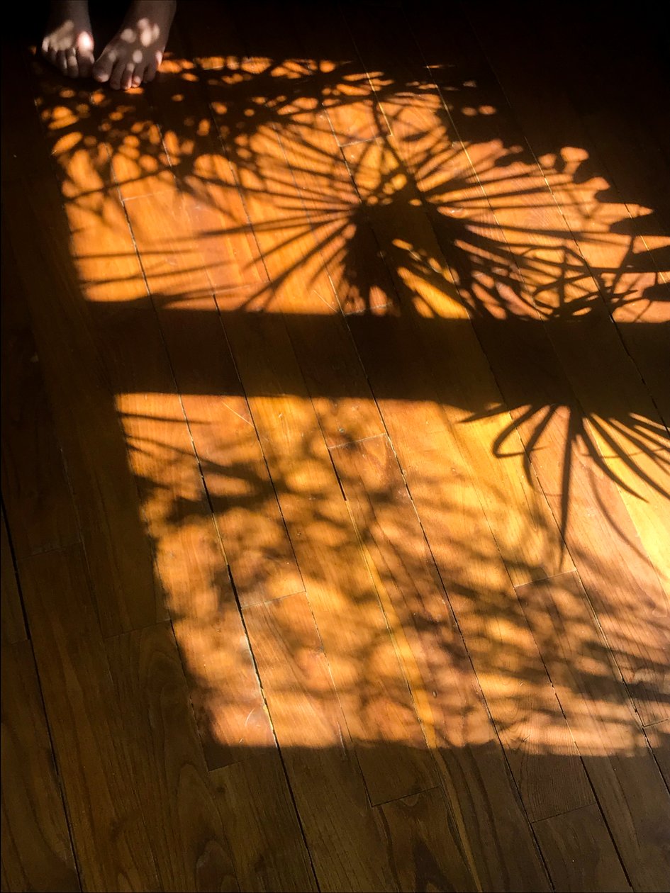 Komposition - Schatten, 2019 von Cécile Jamet