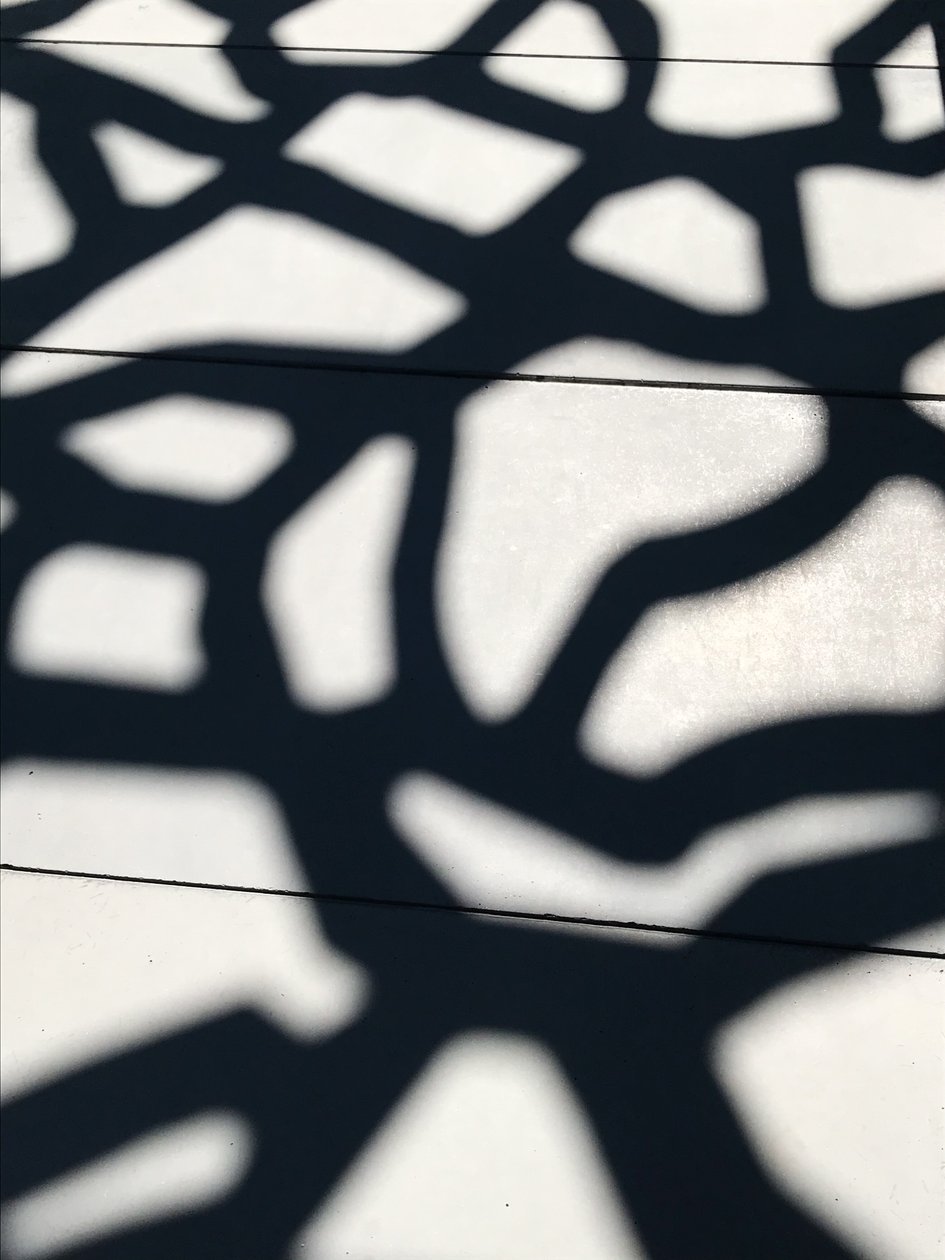 Komposition - Schatten von Cécile Jamet