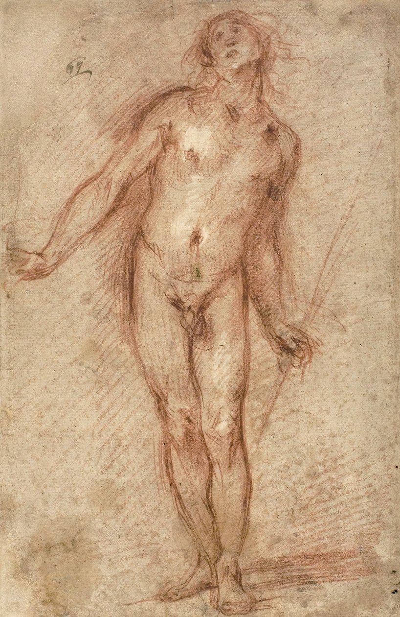 Stehender männlicher Akt, 1637-38 von Cecco Bravo