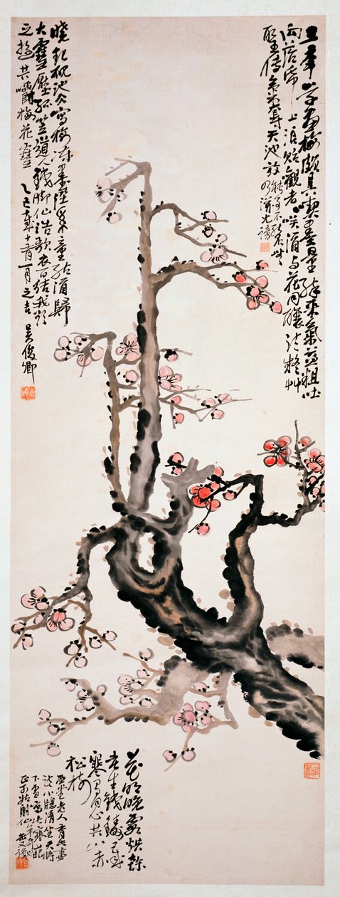 Rote Pflaumenblüten, 1905 von Changshuo Wu