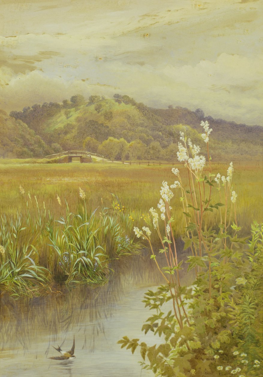 Am Fluss von Charles Robertson