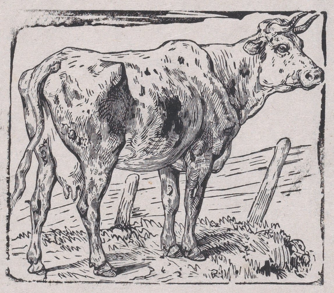 Eine Kuh, ca. 1853 von Charles Emile Jacque