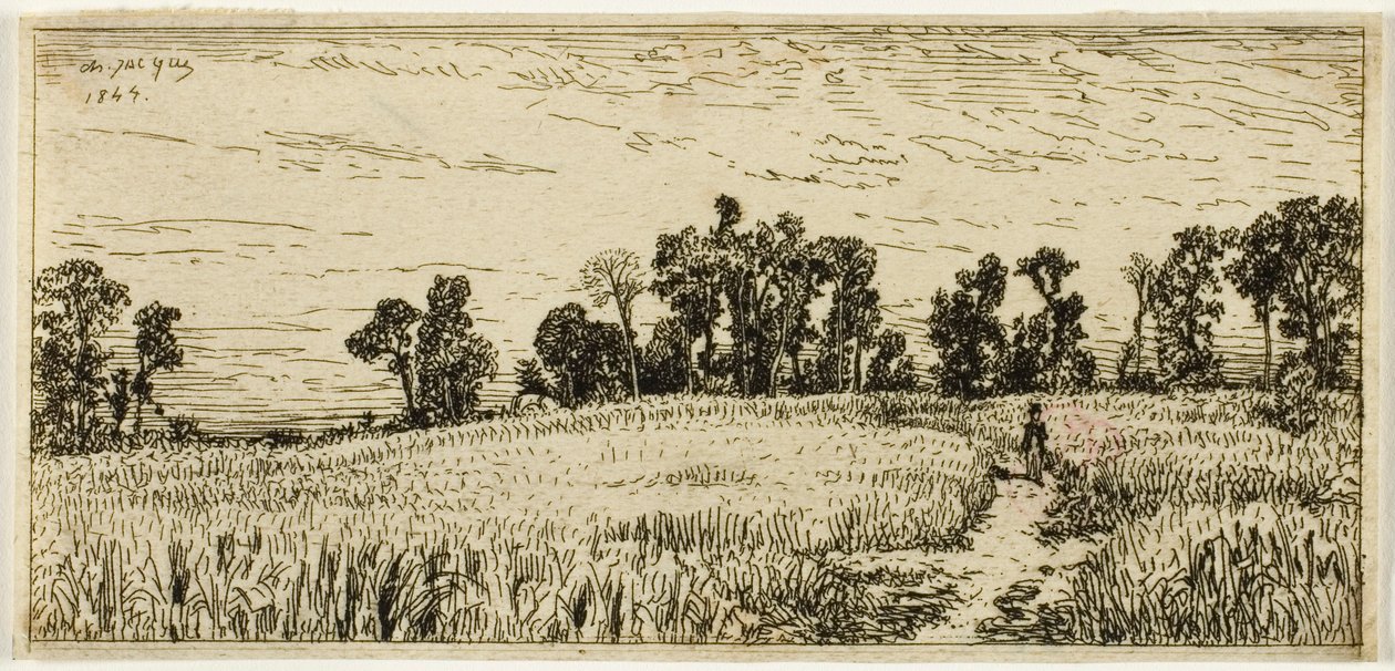 Weizenfeld von Charles Emile Jacque