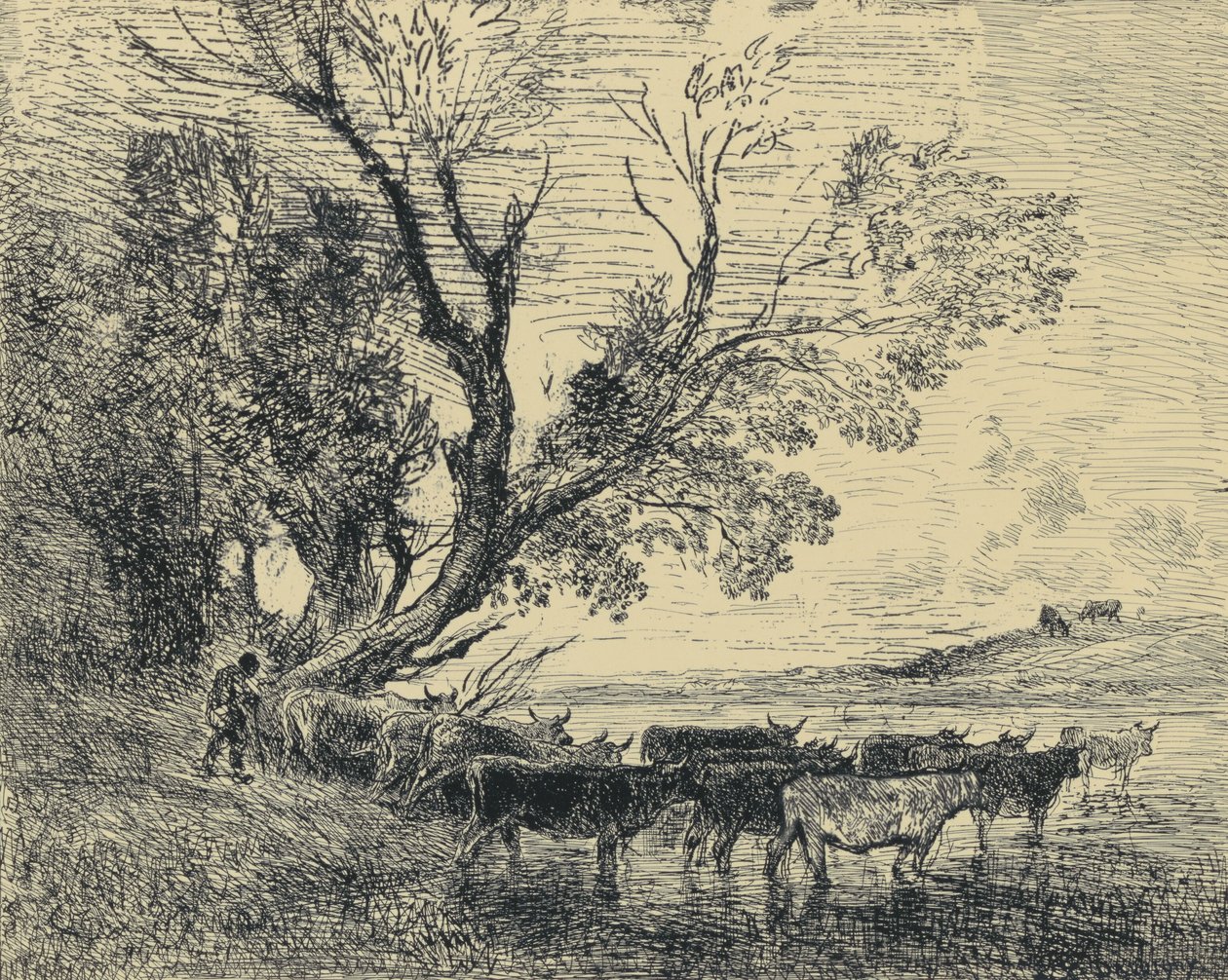 Der Furt von Charles Francois Daubigny