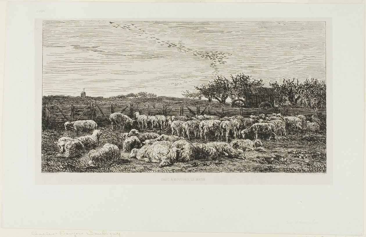 Wiese mit Schafen von Charles Francois Daubigny