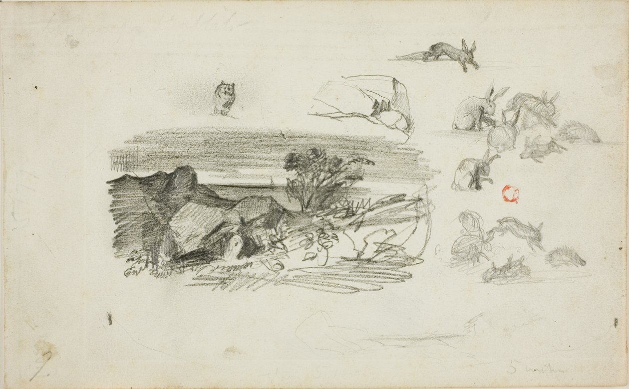 Skizzen: Felsige Umgebung und Kaninchen von Charles Francois Daubigny