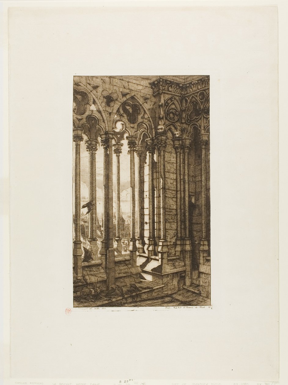 Die Galerie von Notre-Dame, Paris von Charles Meryon