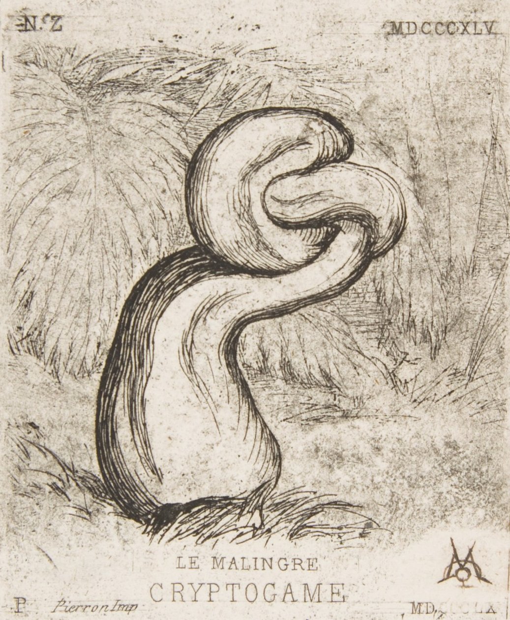 Die schwächliche Kryptogamie, 1860 von Charles Meryon