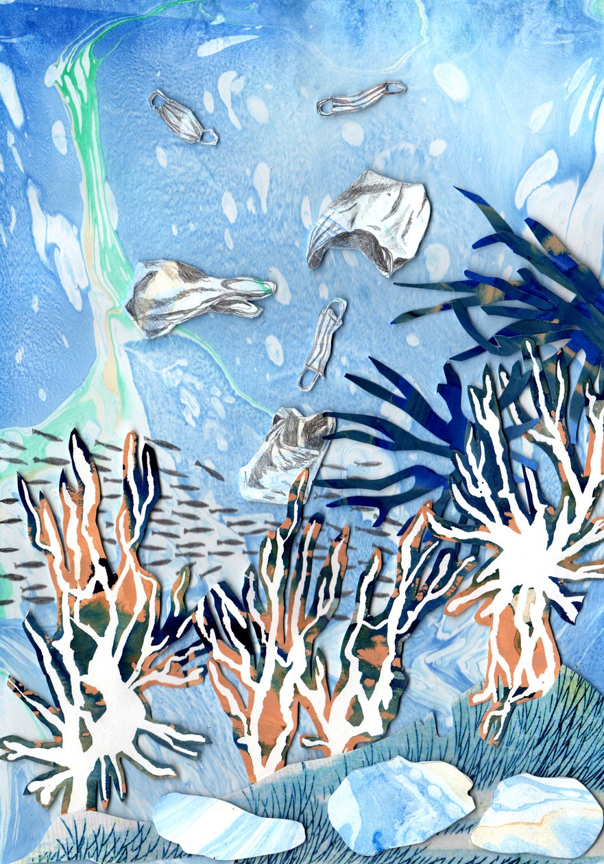 Korallenriffe von Charlotte Orr
