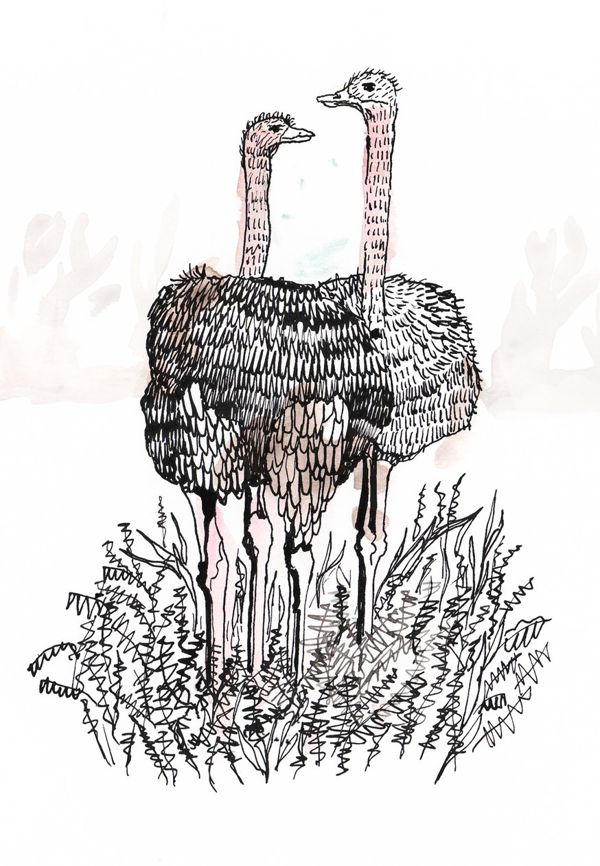 Flamingos, 2018 von Charlotte Orr