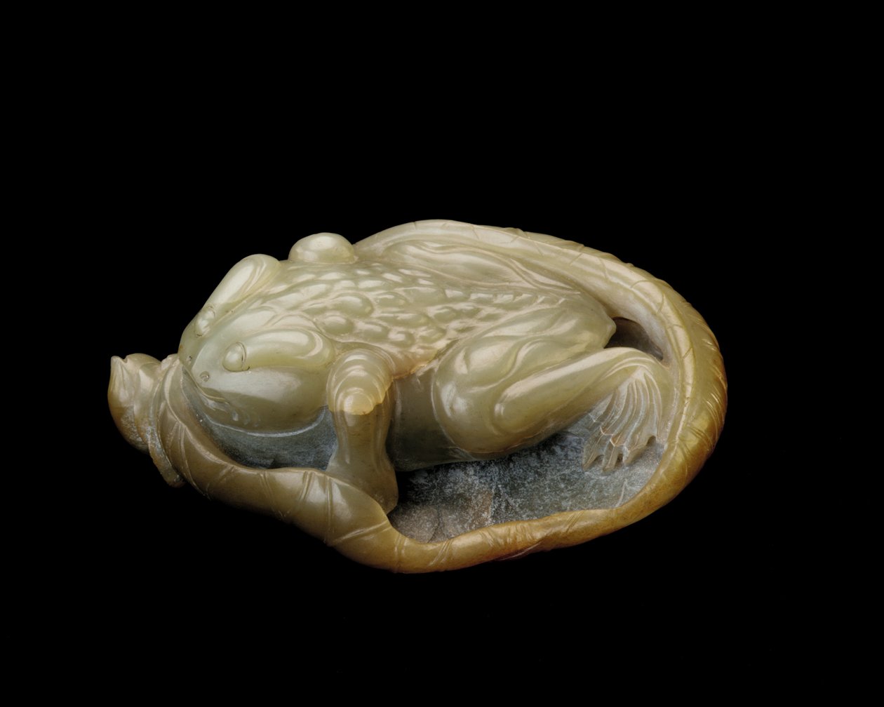 Kröte auf einem Lotusblatt, 1500-1700 von Chinese School