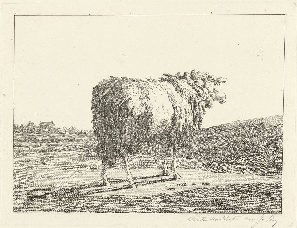 Schaf in einer Landschaft von Christiaan Godfried Schutze van Houten
