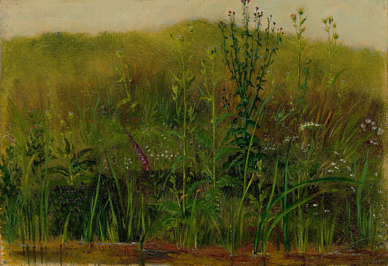 Pflanzen am Ufer von Christian Friedrich Gille