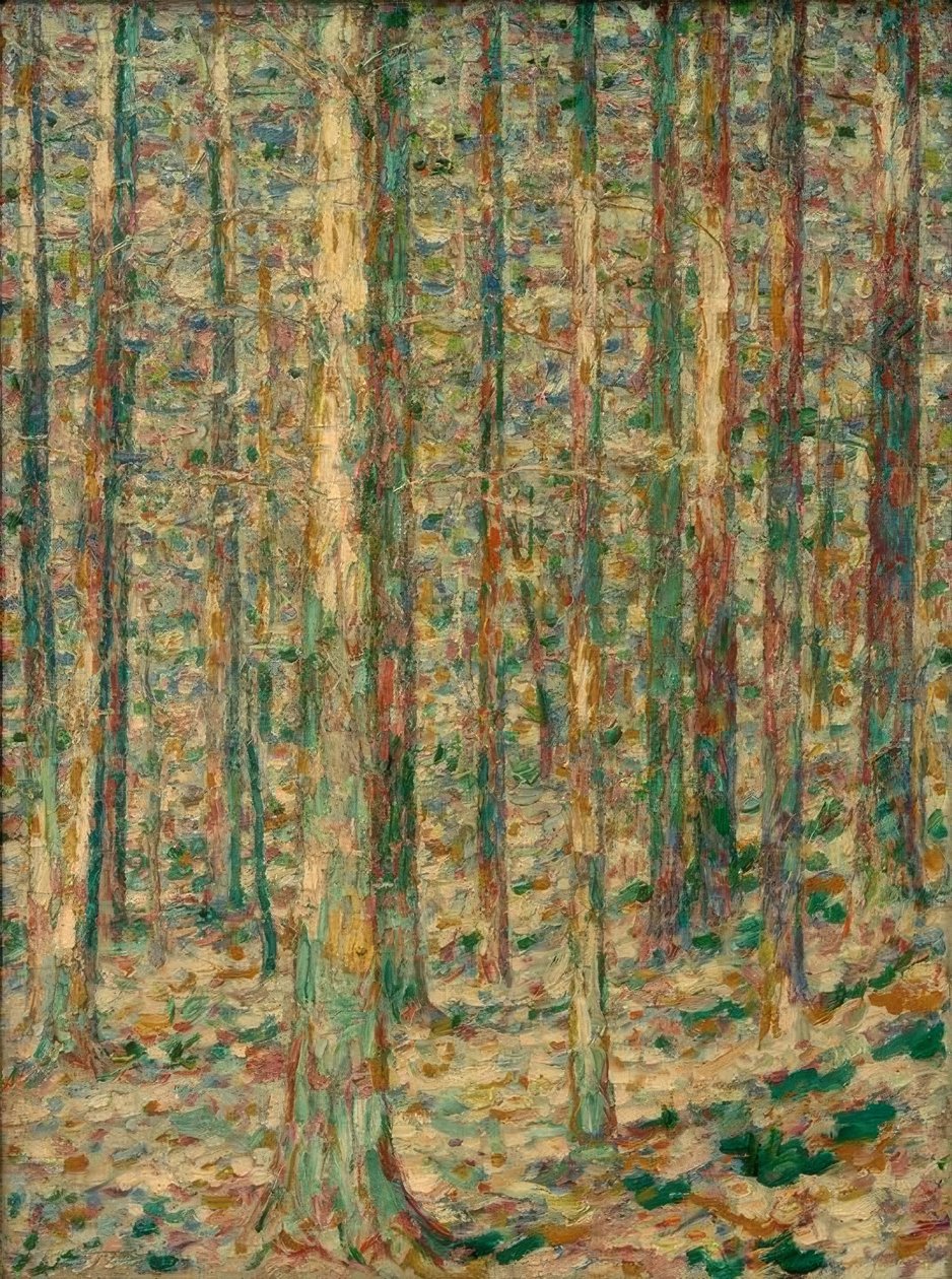 Kiefernstämme im Sonnenlicht von Christian Rohlfs