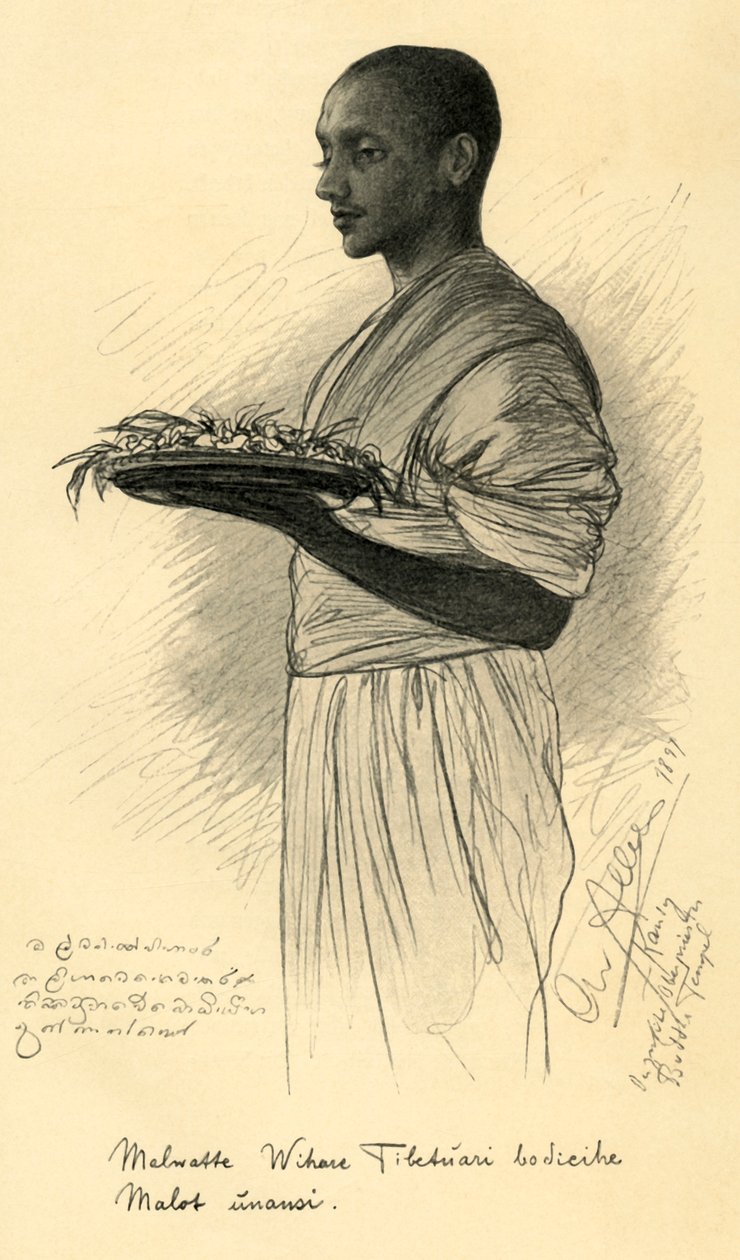 Buddhistischer Mönch, Ceylon, 1898 von Christian Wilhelm Allers