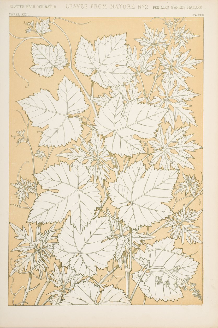 Blätter aus der Natur, 1868 von Christopher Dresser