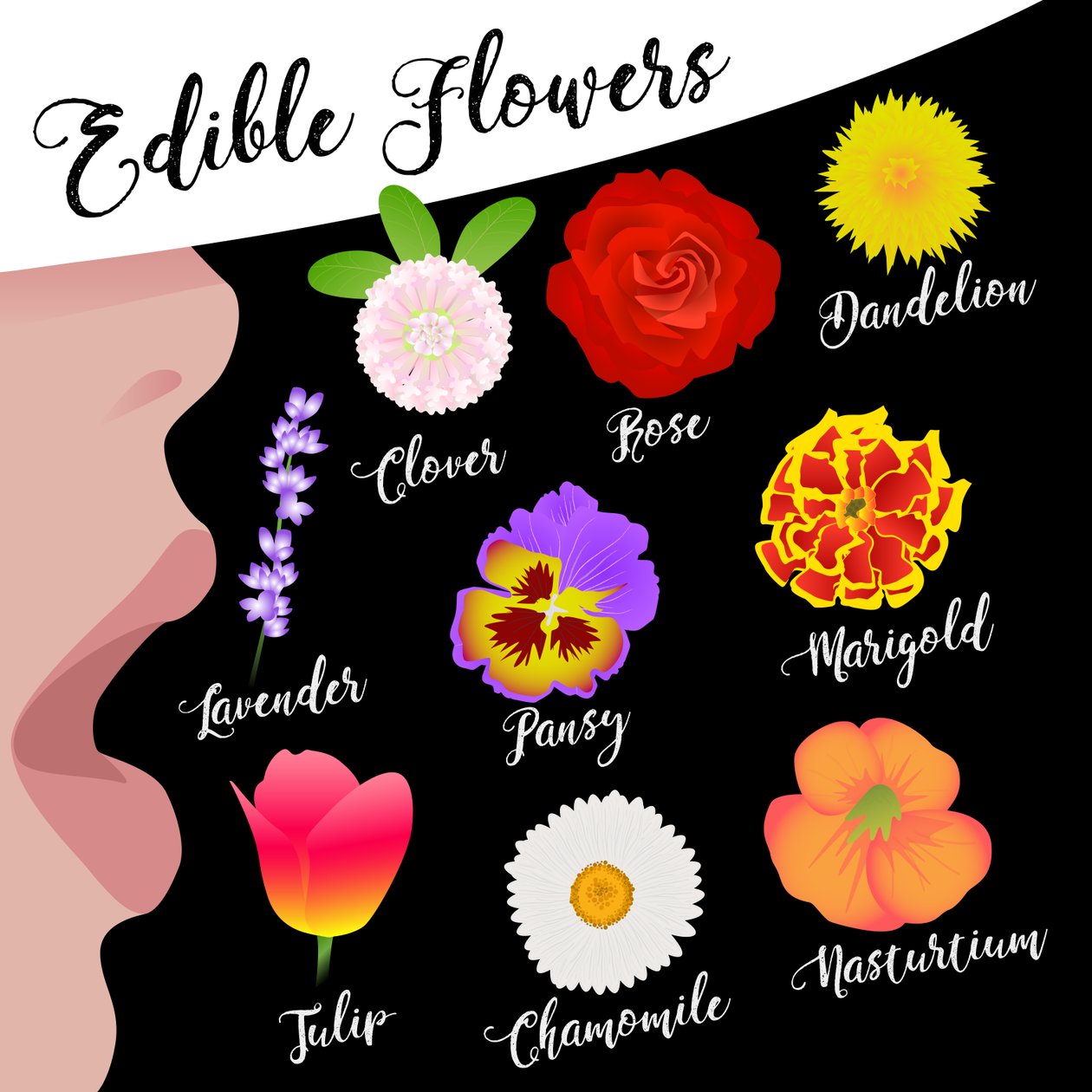 Essbare Blumen von Claire Huntley