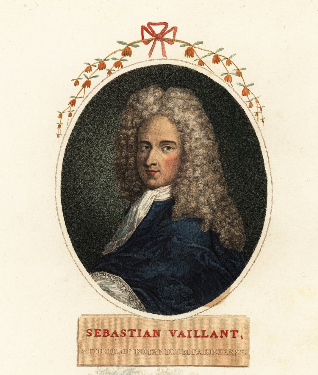 Porträt von Sebastian Vaillant, französischer Botaniker von Claude Aubriet