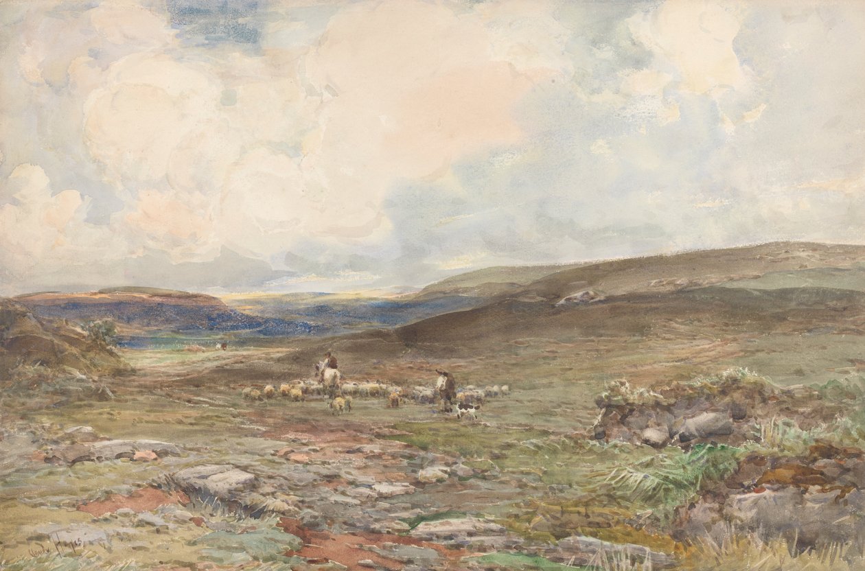 Heideland mit Schafen und Schäfer von Claude Hayes