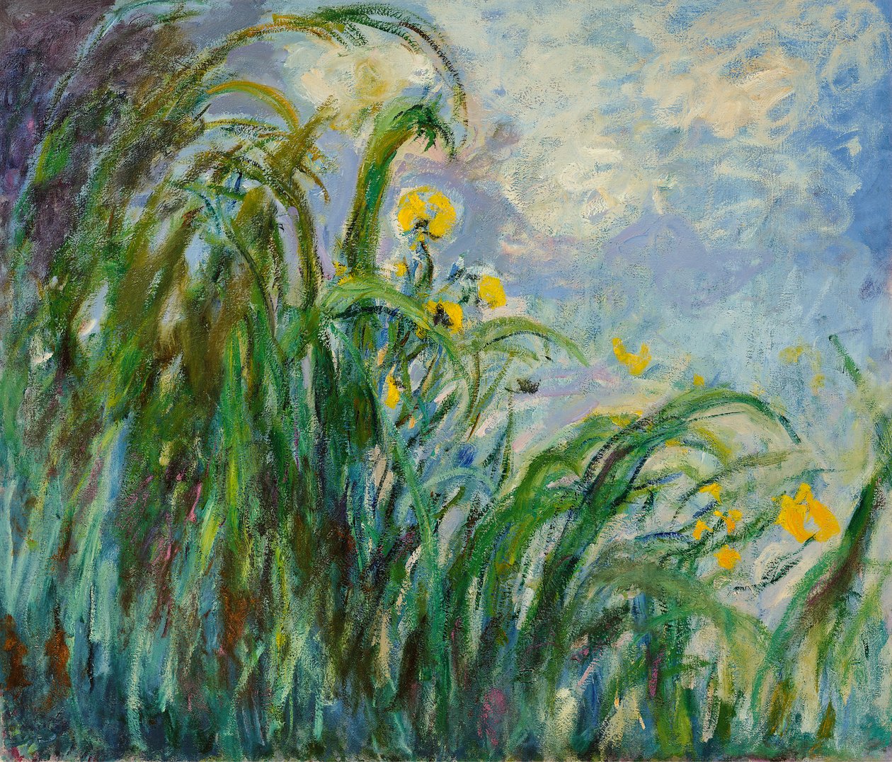 Gelbe Schwertlilien, ca. 1925 von Claude Monet