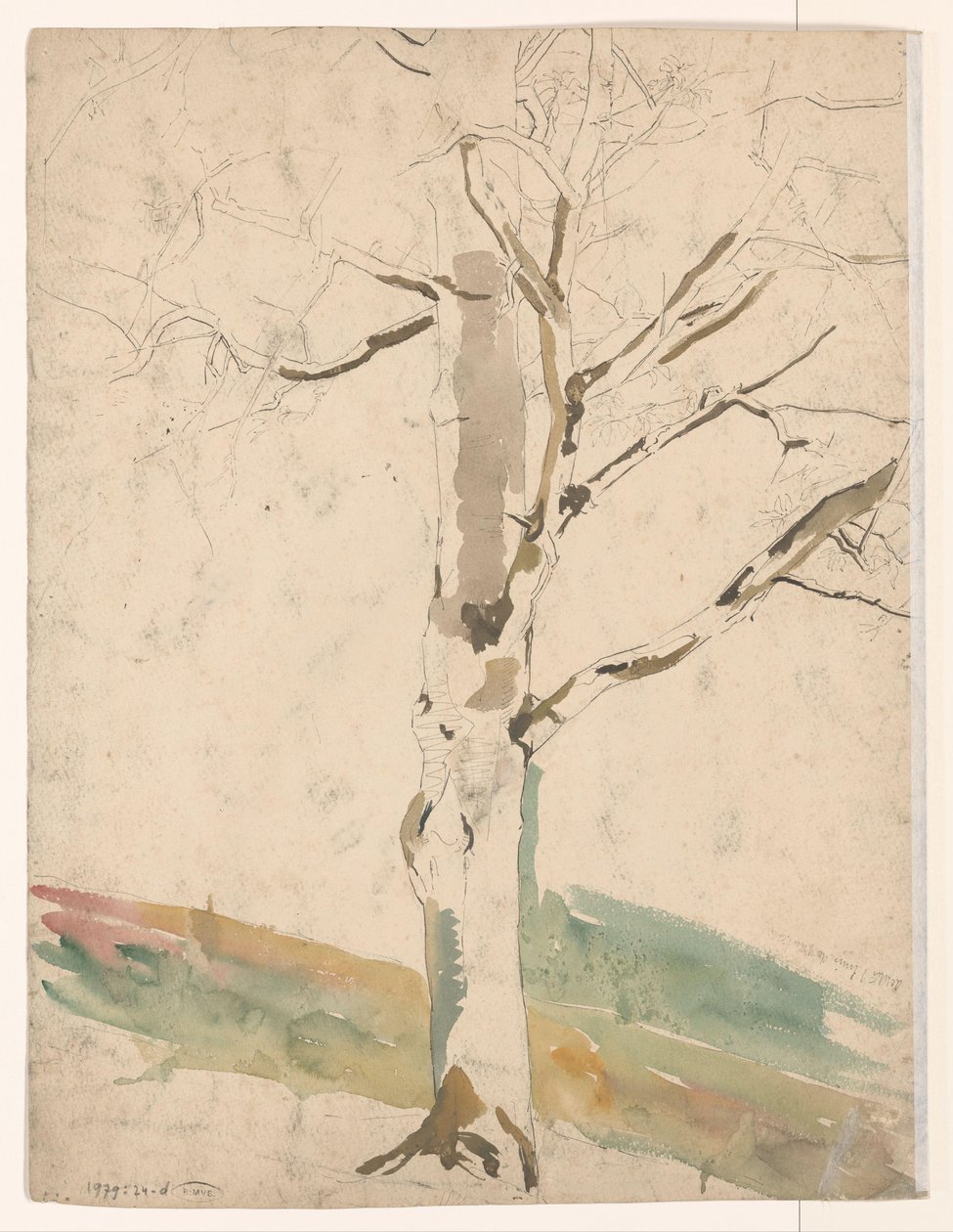 Studie eines Baumes von Coba Steenhoff