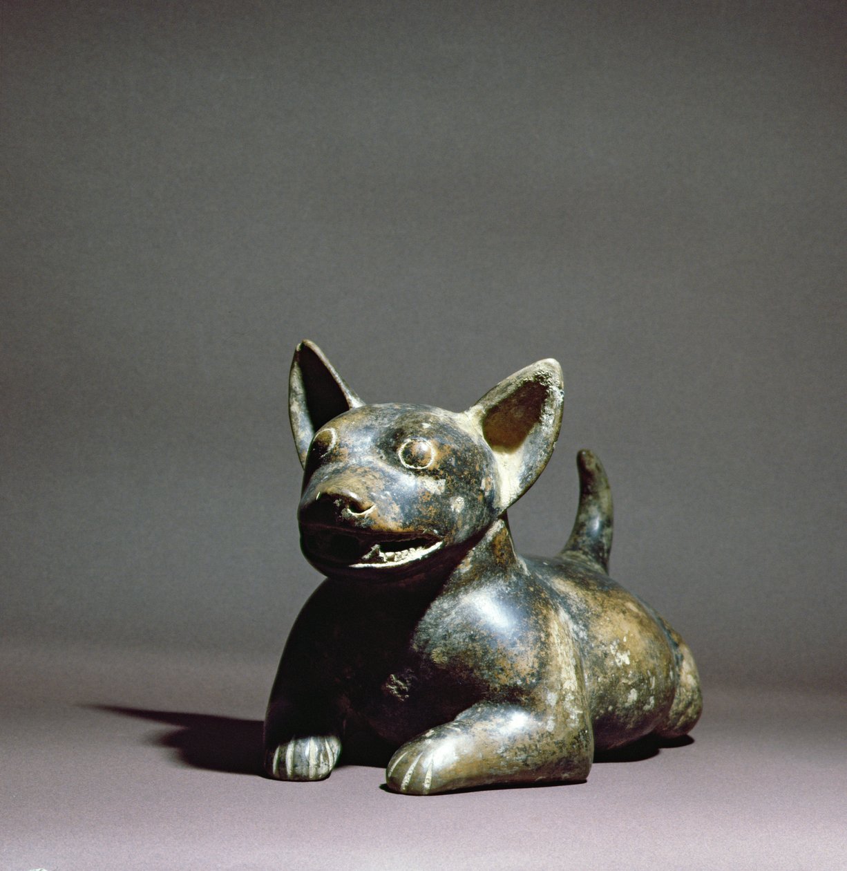 Colima halb liegender Hund, 300 v. Chr. - 500 n. Chr. von Colima Culture