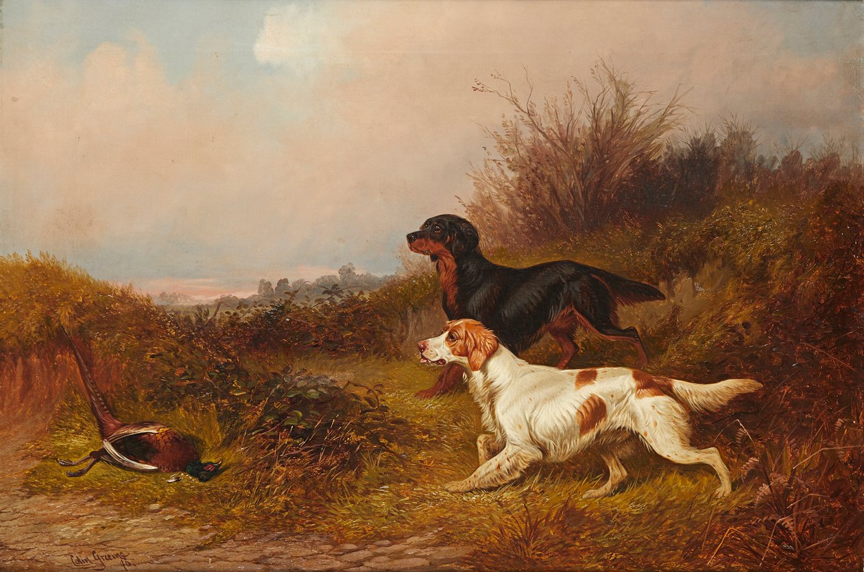 Retriever bei der Arbeit von Colin Graeme