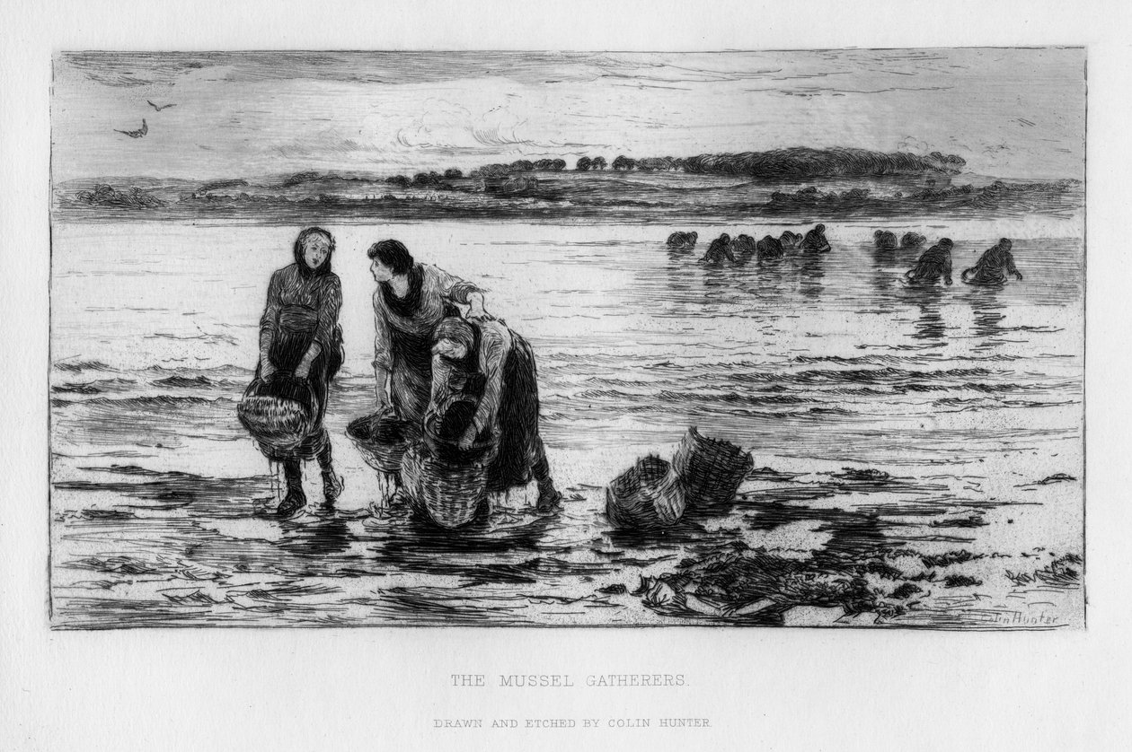 Die Muschelsammler von Colin Hunter