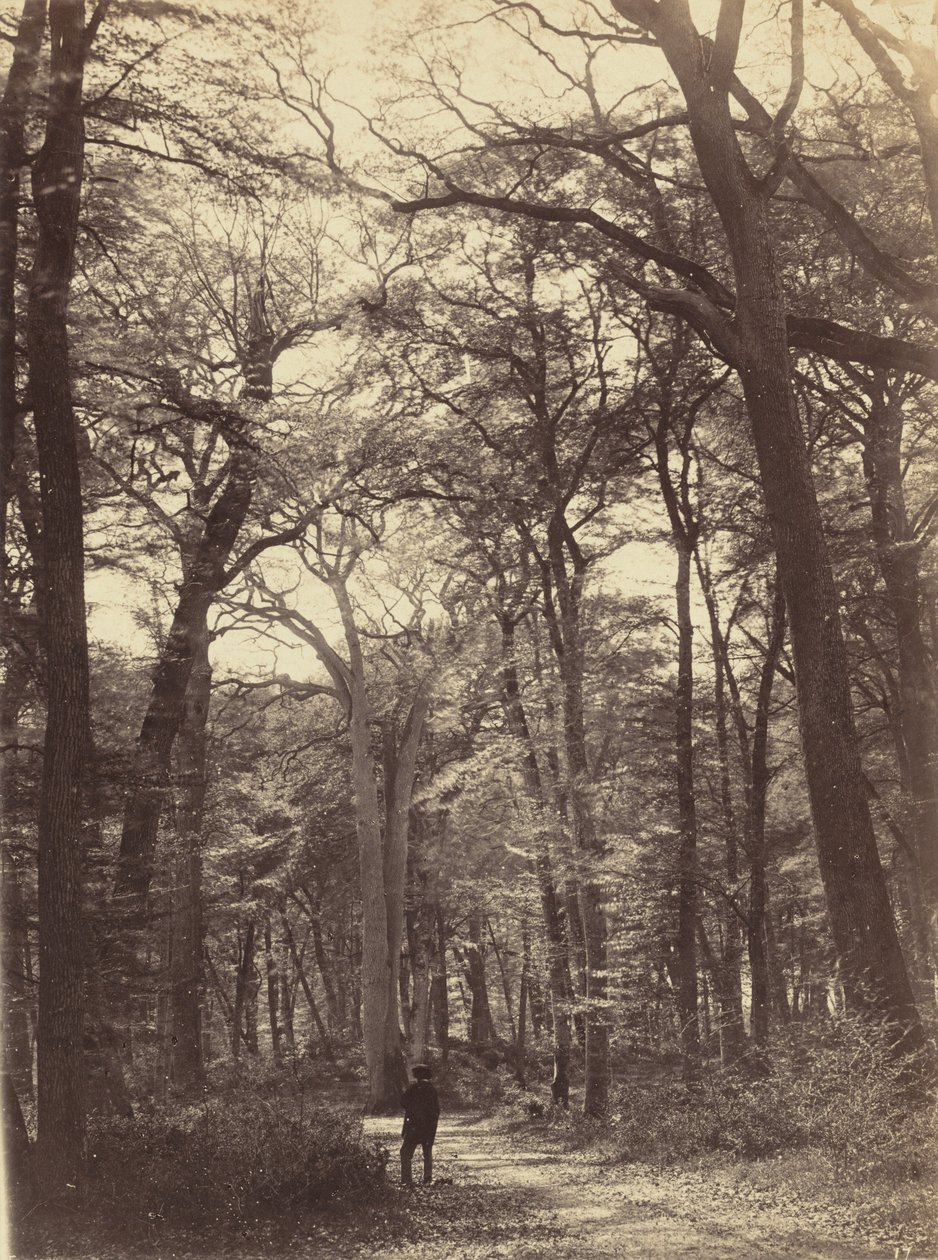 Waldszene, um 1865 von Constant Alexandre Famin