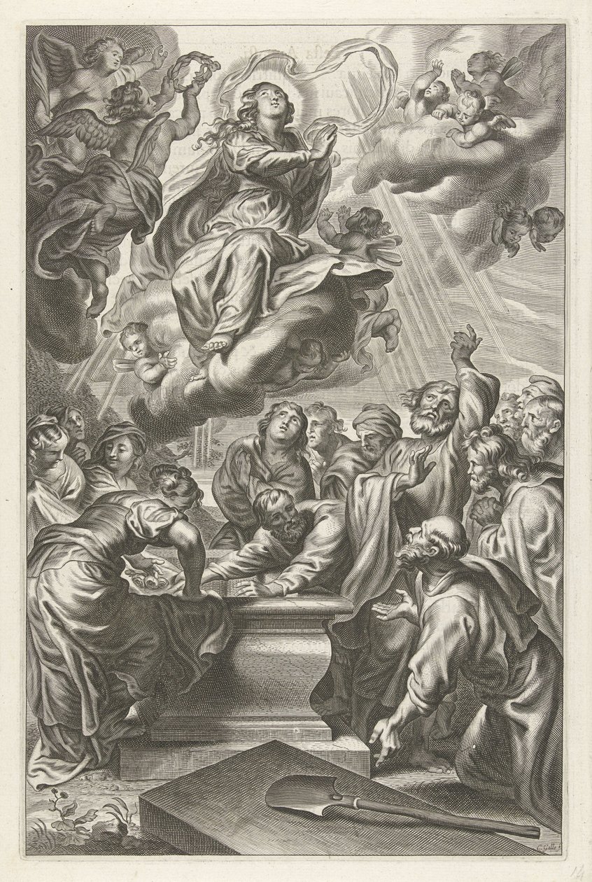 Himmelfahrt Mariä von Cornelis Galle (II)