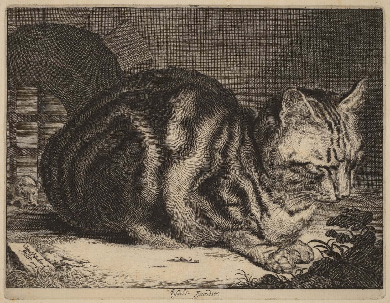 Die große Katze von Cornelis Visscher