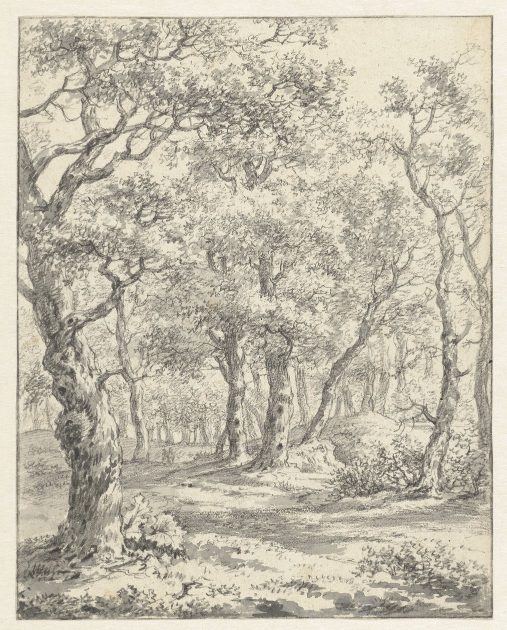 Waldlandschaft von Couwenhoven