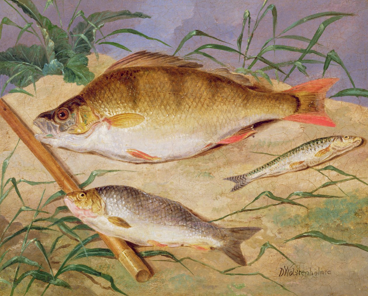 Ein Anglerfang von Weißfischen von D. the Younger Wolstenholme